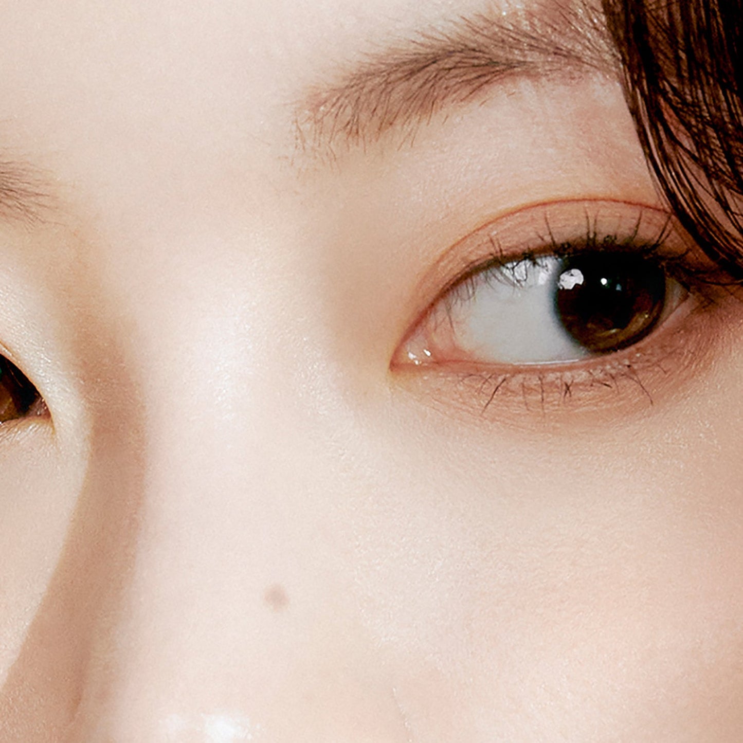 ROMAND Better Than Palette - 05 Shade & Shadow Garden