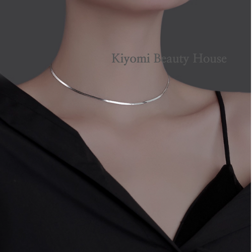 Sleek Silver Collar Necklace