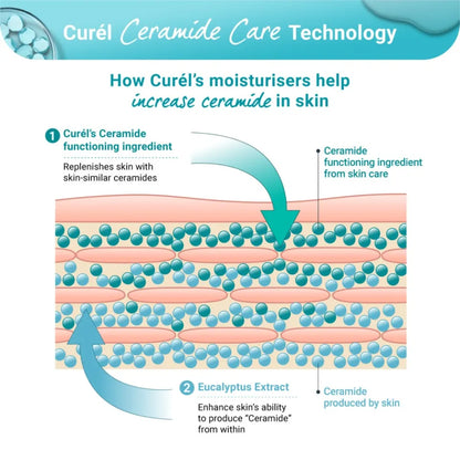 Curél Moisture Lotion for Sensitive Skin Normal II 150ml