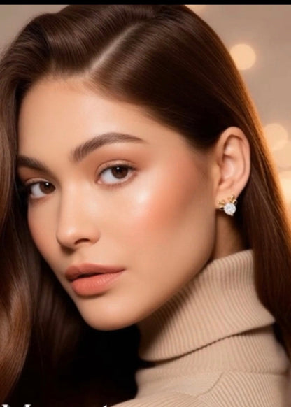 Christmas Week Zircon Deer Earrings Gift Set